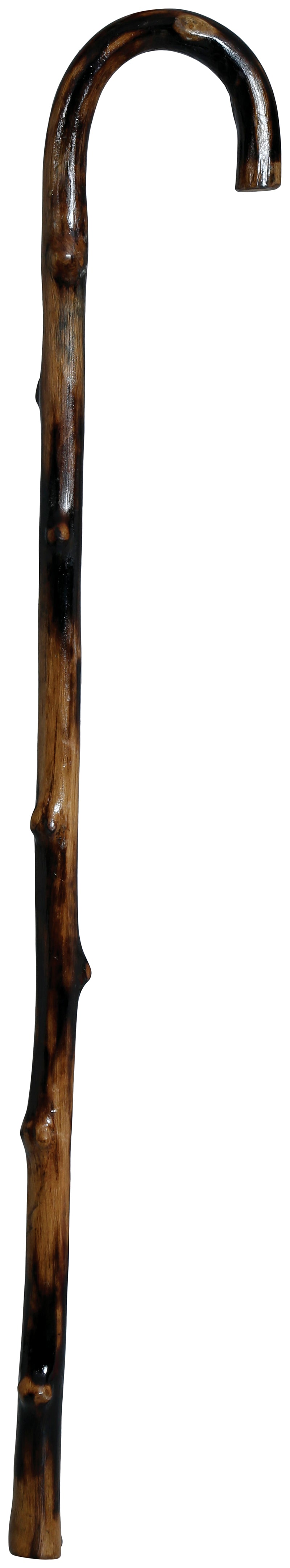GRANDPA CANE H.Q., 90 CMS