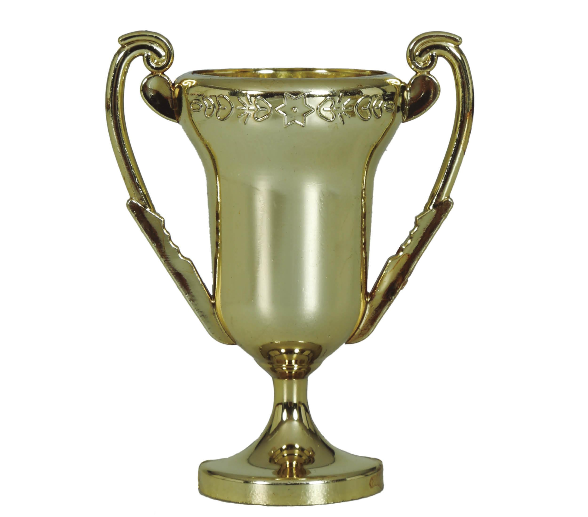 BAG WITH 6 TROPHIES OF 6 CMS