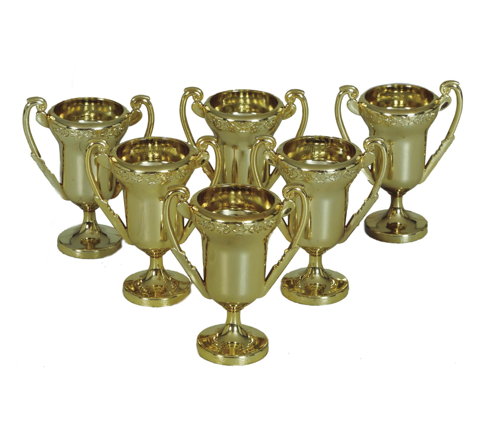 BAG WITH 6 TROPHIES OF 6 CMS