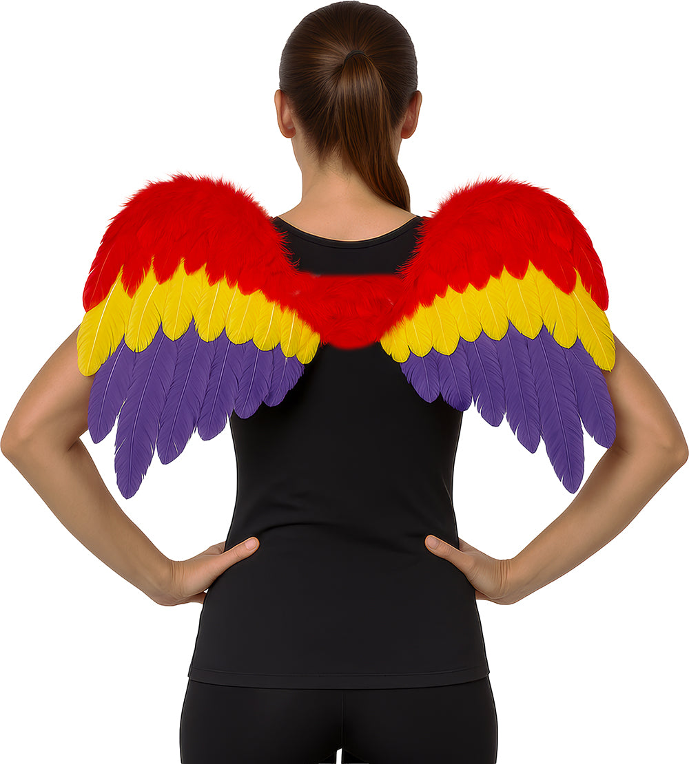 MULTICOLORED FEATHER WINGS 60 X 40 CM