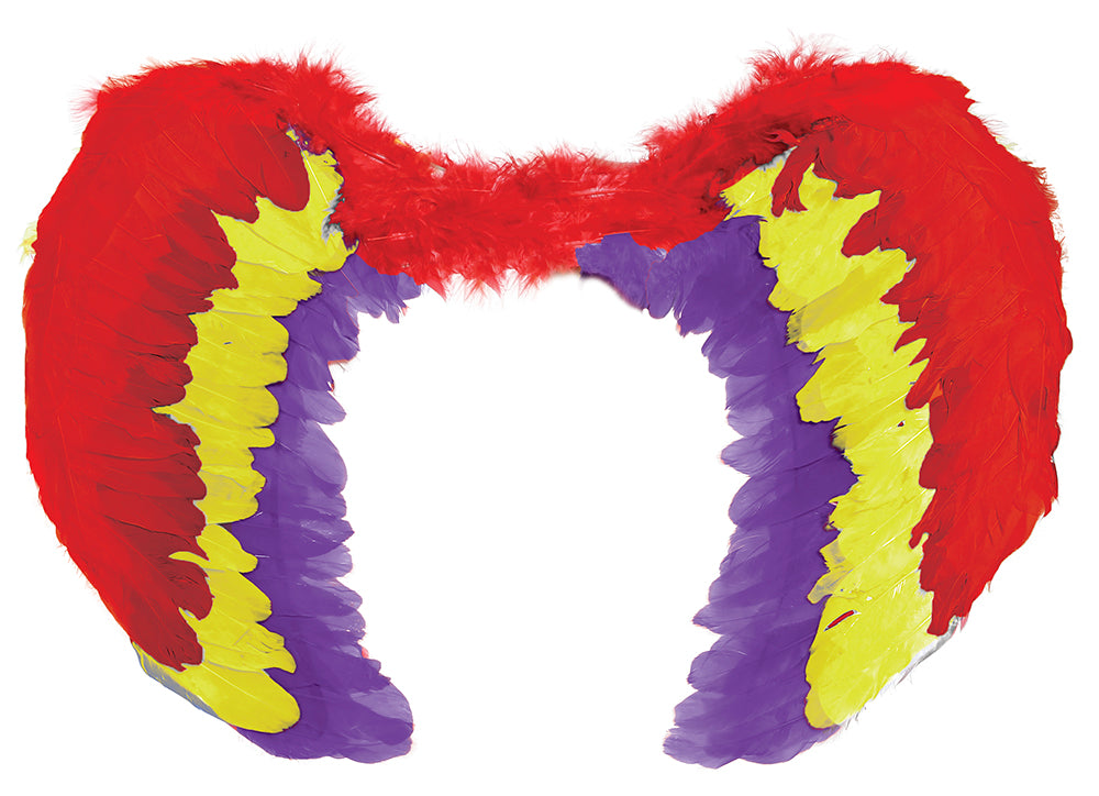 MULTICOLORED FEATHER WINGS 60 X 40 CM