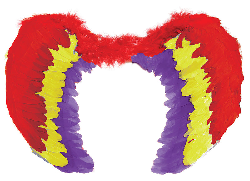 MULTICOLORED FEATHER WINGS 60 X 40 CM