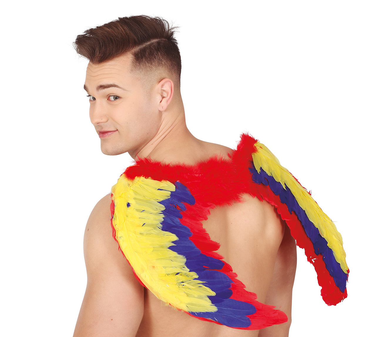 MULTICOLORED FEATHER WINGS 60 X 40 CM