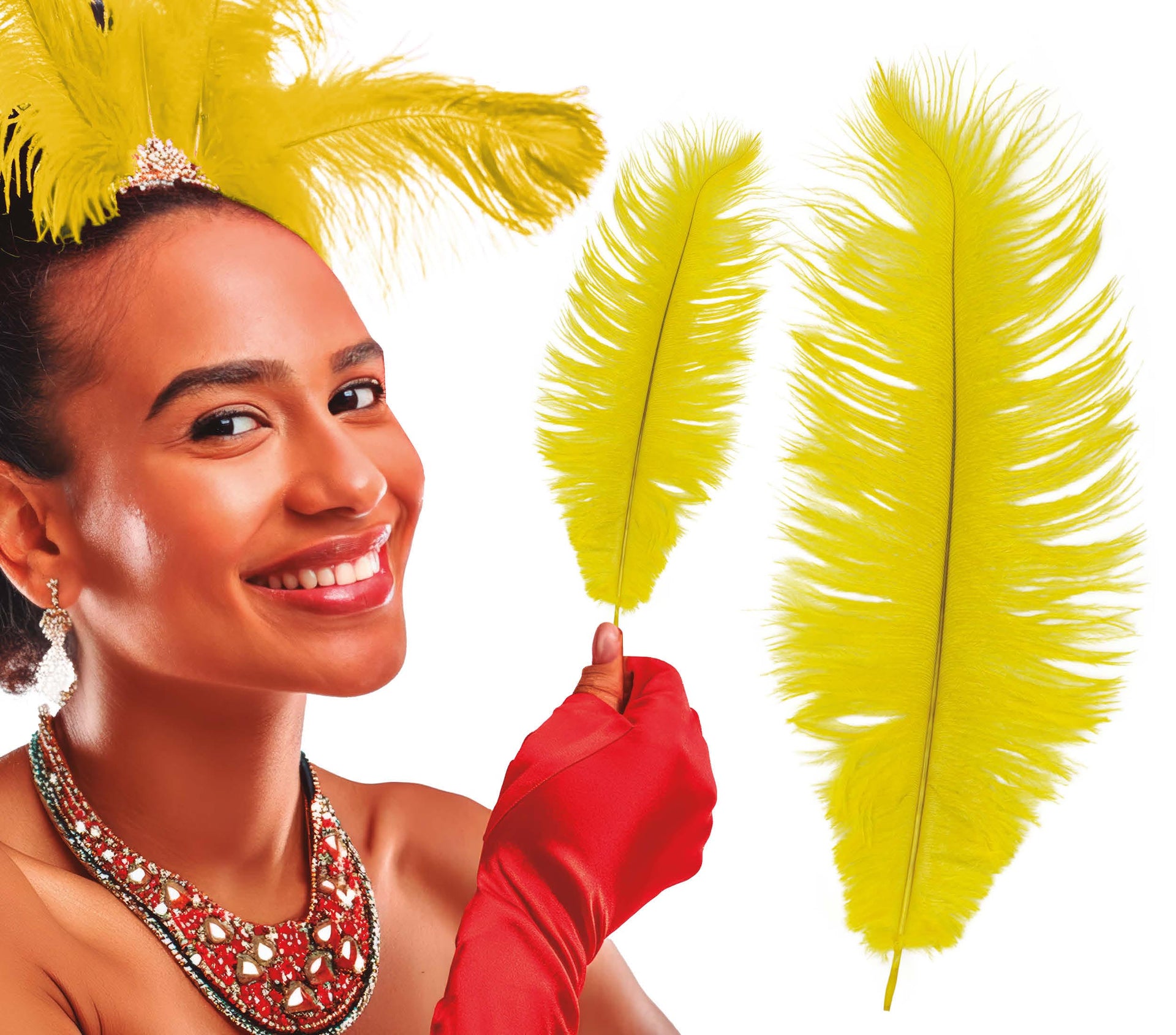 BAG 12 OSTRICH FEATHERS 30 CMS