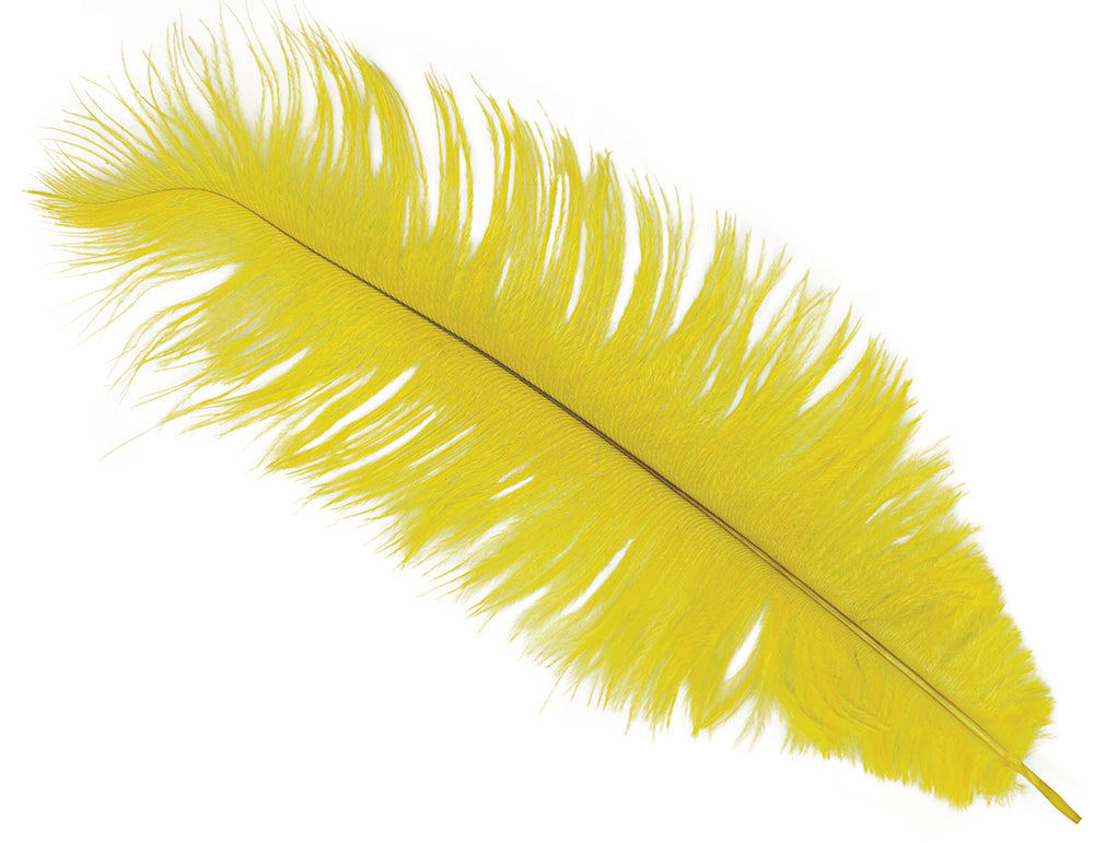 BAG 12 OSTRICH FEATHERS 30 CMS