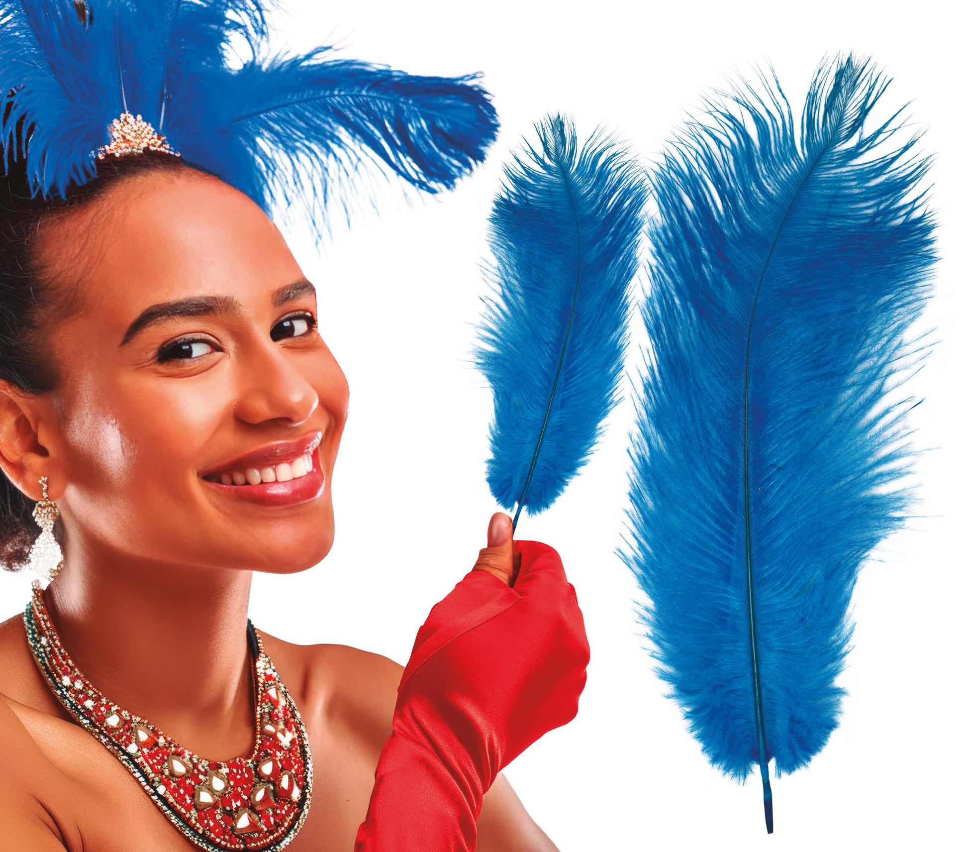 BAG 12 OSTRICH FEATHERS 30 CMS