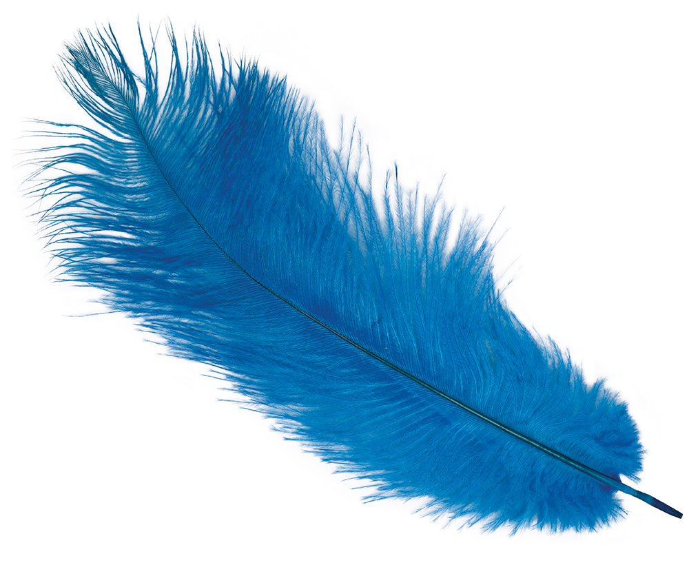 BAG 12 OSTRICH FEATHERS 30 CMS