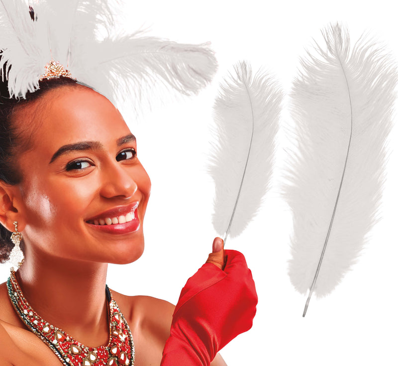 BAG 12 OSTRICH FEATHERS 30 CMS