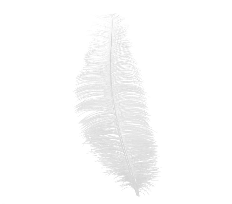 BAG 12 OSTRICH FEATHERS 30 CMS