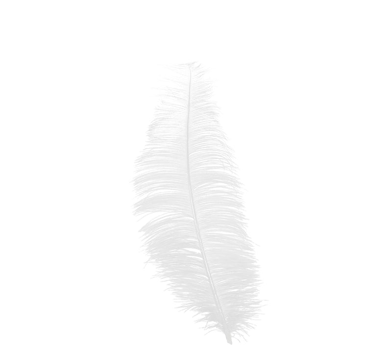BAG 12 OSTRICH FEATHERS 30 CMS