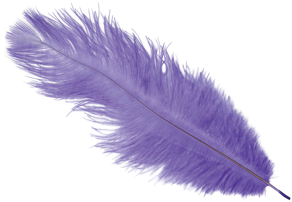 BAG 12 OSTRICH FEATHERS 30 CMS