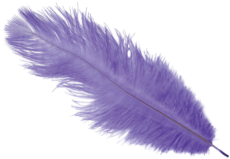 BAG 12 OSTRICH FEATHERS 30 CMS