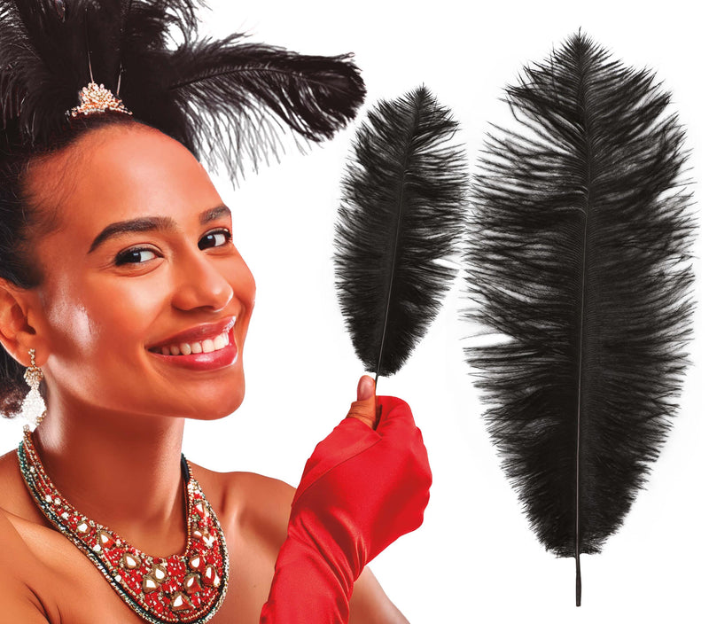 BAG 12 OSTRICH FEATHERS 30 CMS