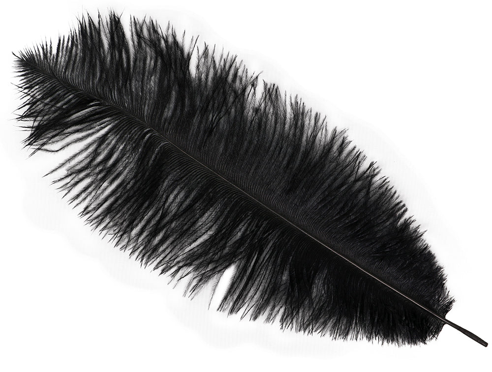 BAG 12 OSTRICH FEATHERS 30 CMS