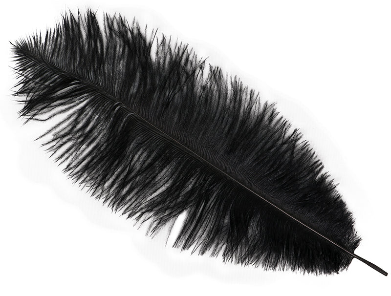 BAG 12 OSTRICH FEATHERS 30 CMS