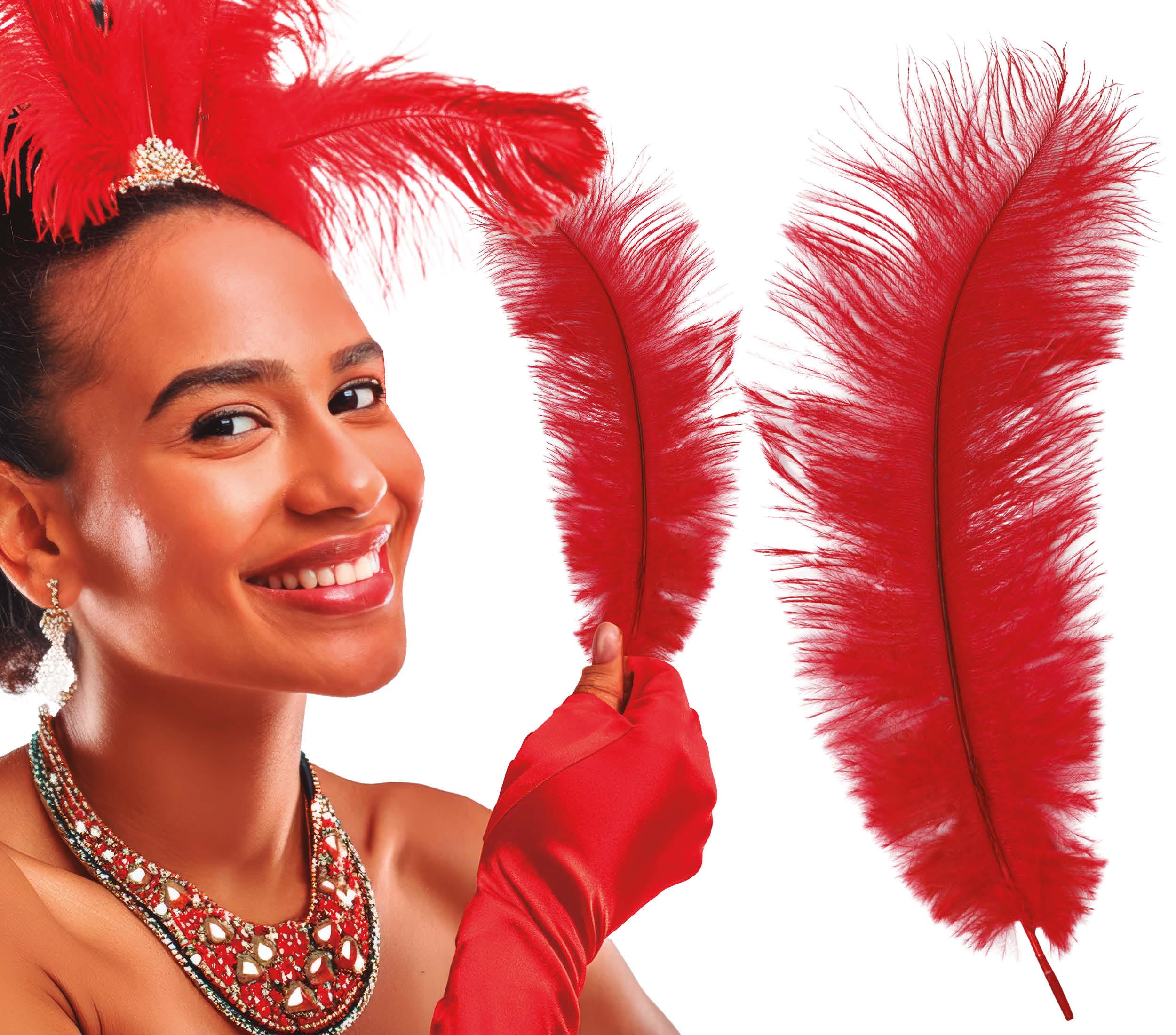 BAG 12 OSTRICH FEATHERS 30 CMS