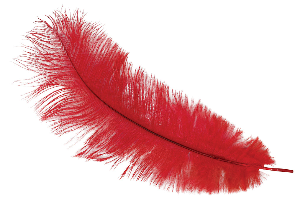 BAG 12 OSTRICH FEATHERS 30 CMS