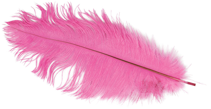 BAG 12 OSTRICH FEATHERS 30 CMS