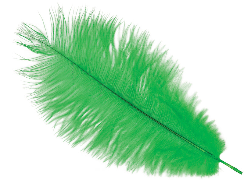 BAG 12 OSTRICH FEATHERS 30 CMS