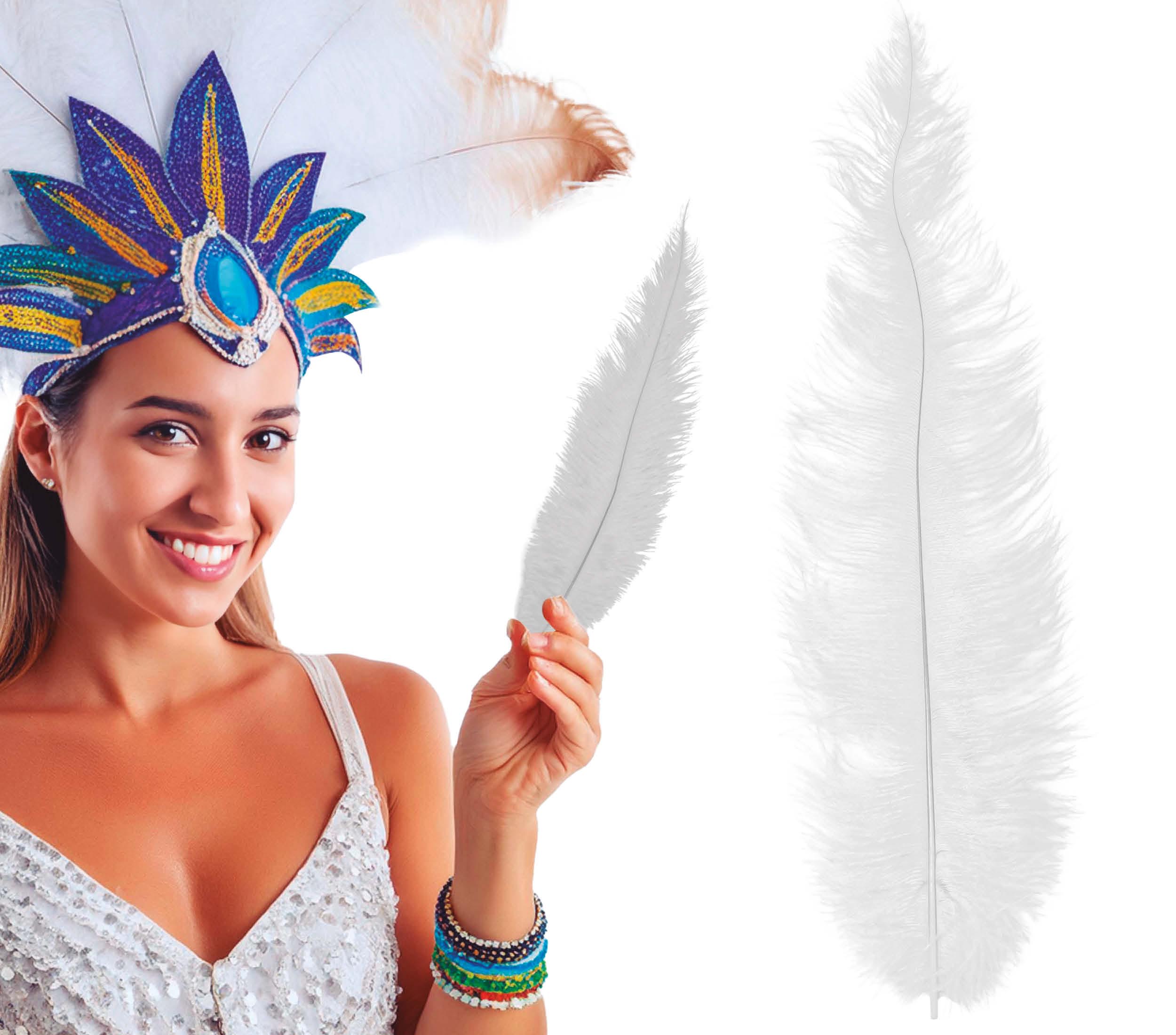 BAG 12 OSTRICH FEATHER BIG 40 CMS