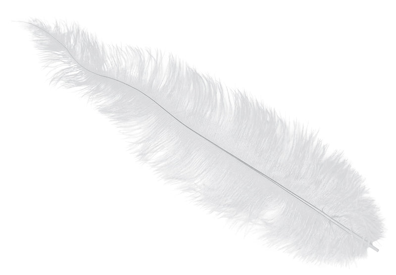 BAG 12 OSTRICH FEATHER BIG 40 CMS
