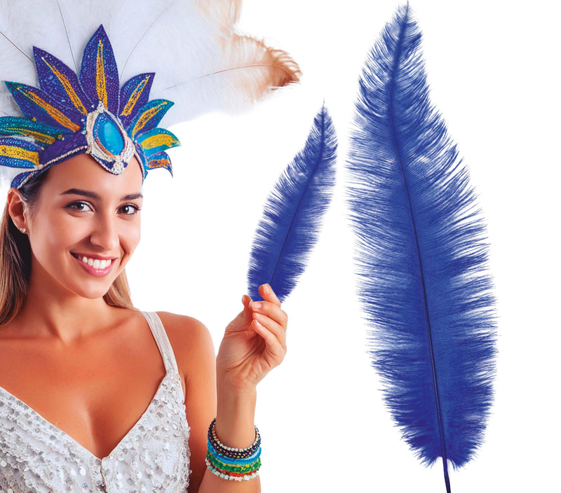 BAG 12 OSTRICH FEATHER BIG 40 CMS