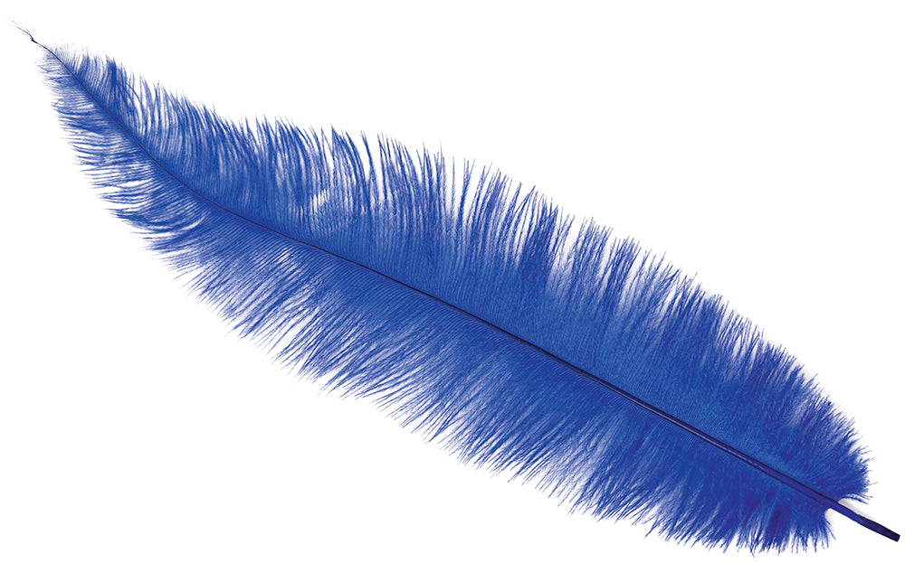 BAG 12 OSTRICH FEATHER BIG 40 CMS