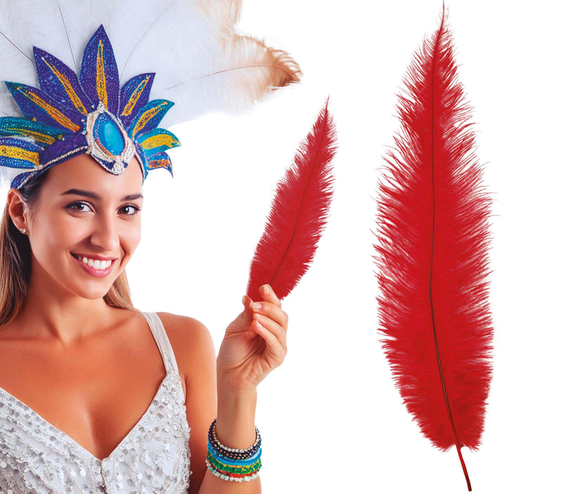 BAG 12 OSTRICH FEATHER BIG 40 CMS