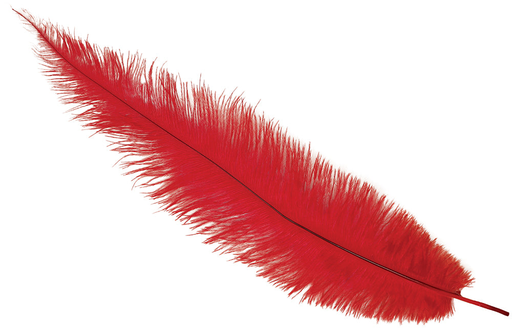 BAG 12 OSTRICH FEATHER BIG 40 CMS
