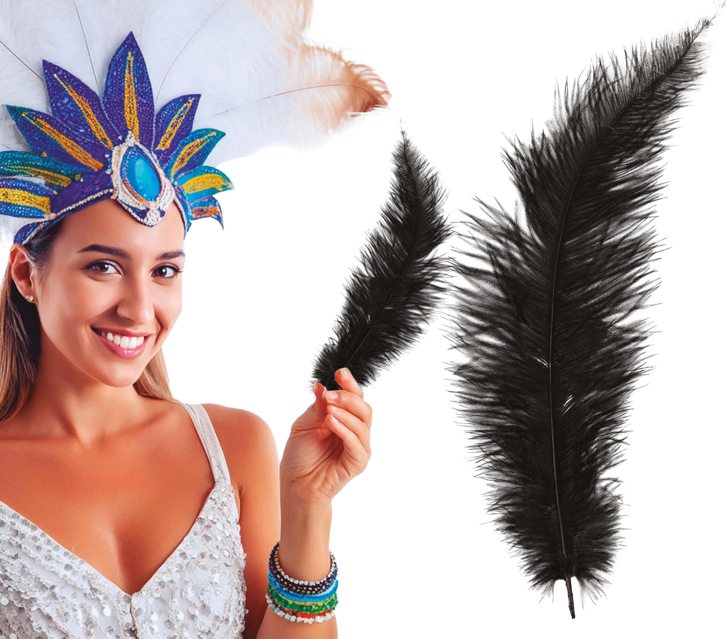 BAG 12 OSTRICH FEATHER BIG 40 CMS