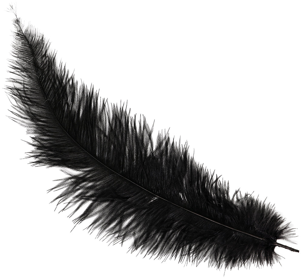 BAG 12 OSTRICH FEATHER BIG 40 CMS