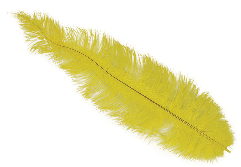 BAG 12 OSTRICH FEATHER BIG 40 CMS