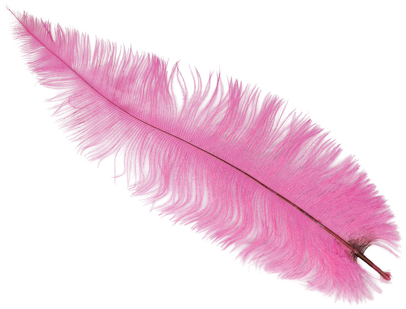 BAG 12 OSTRICH FEATHER BIG 40 CMS