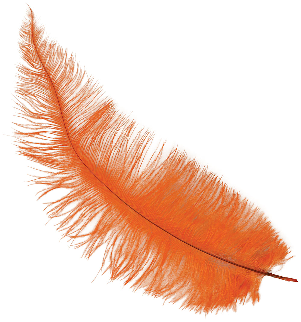 BAG 12 OSTRICH FEATHER BIG 40 CMS