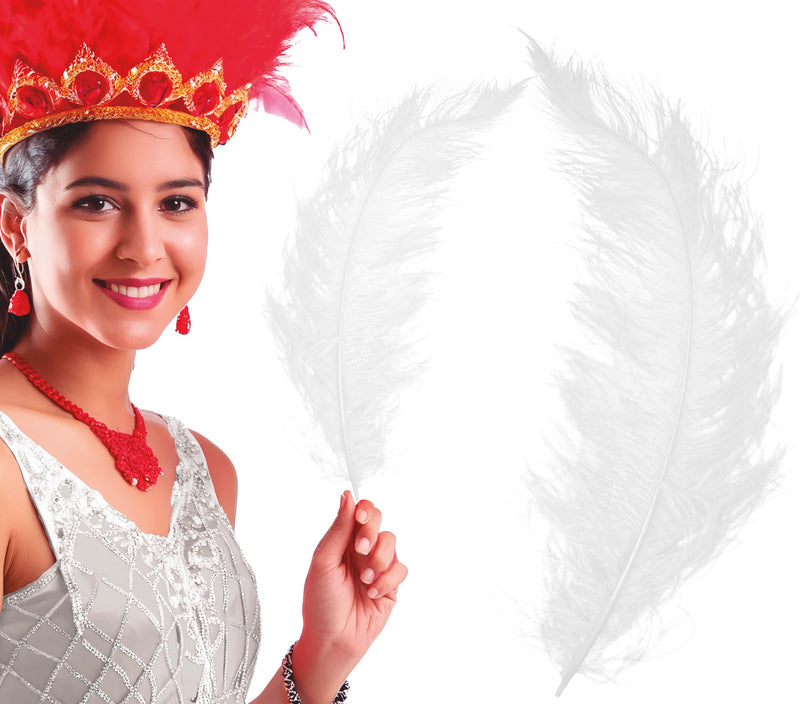 BAG 12 OSTRICH FEATHER GIANT 50 CMS.