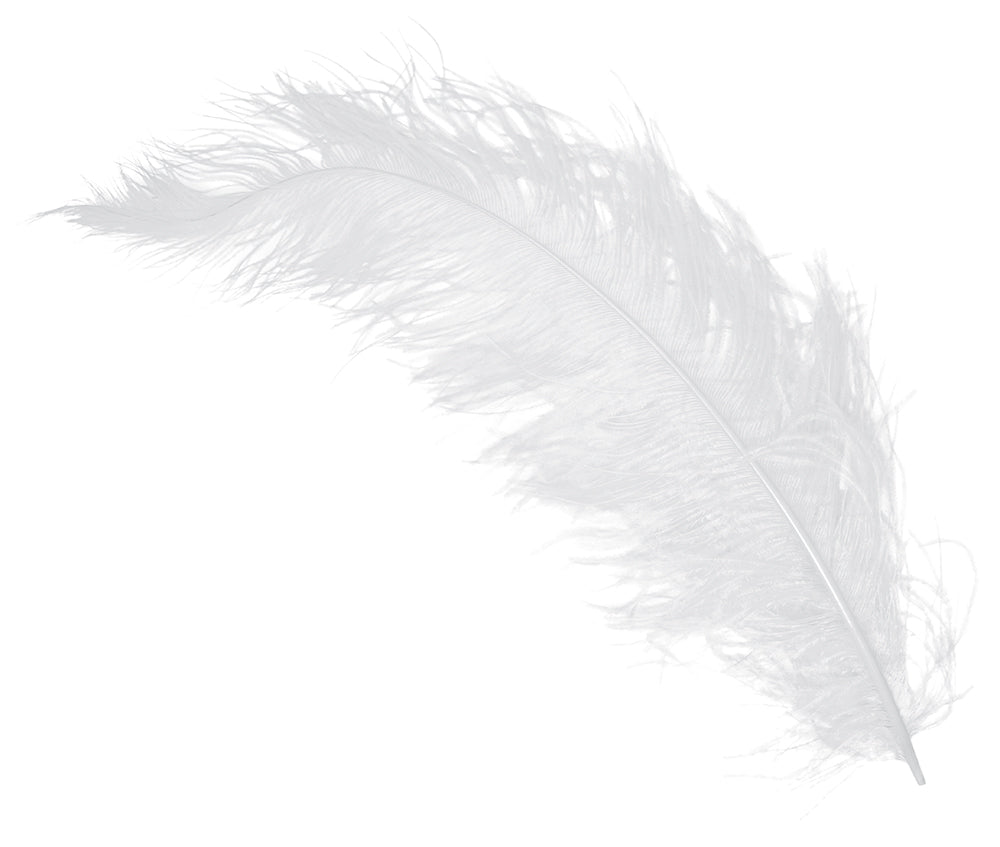 BAG 12 OSTRICH FEATHER GIANT 50 CMS.