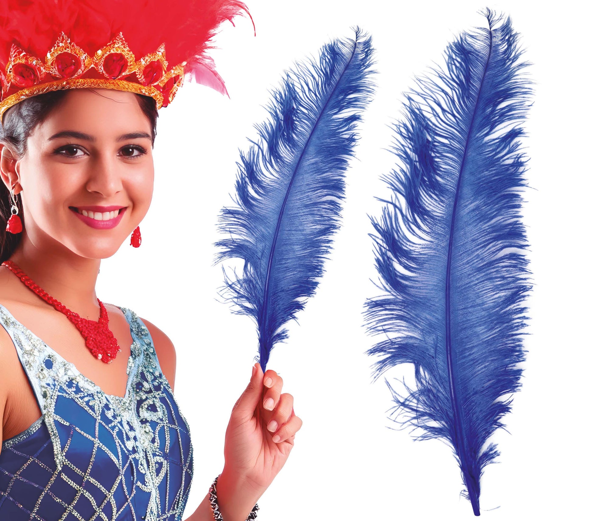 BAG 12 OSTRICH FEATHER GIANT 50 CMS.