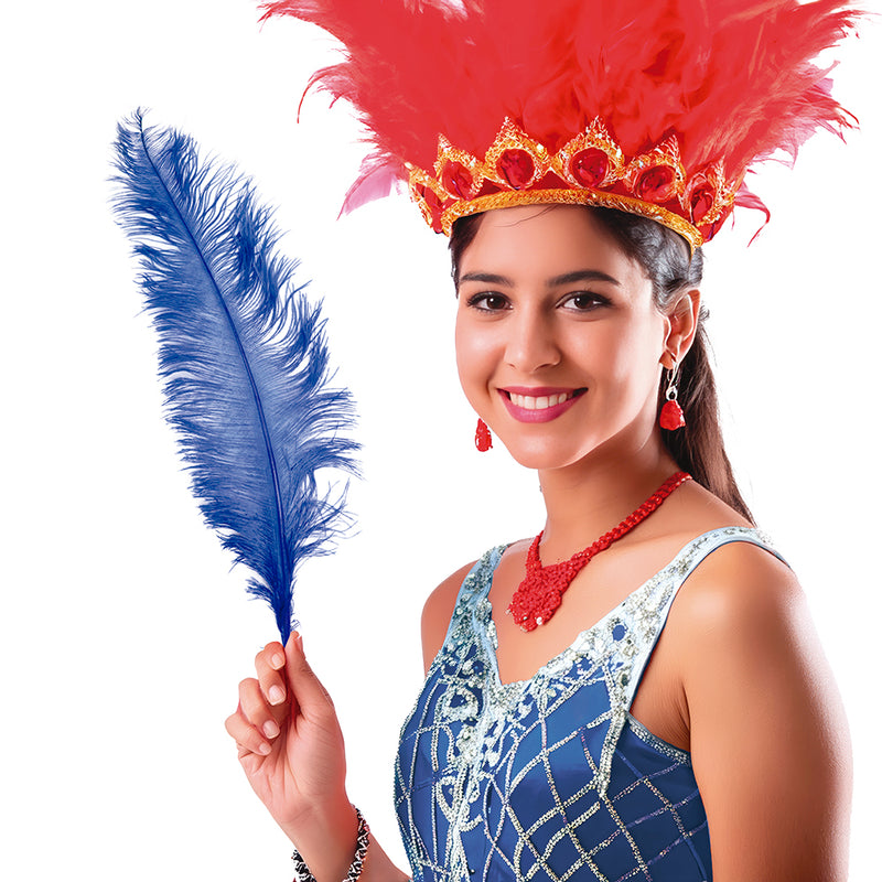 BAG 12 OSTRICH FEATHER GIANT 50 CMS.