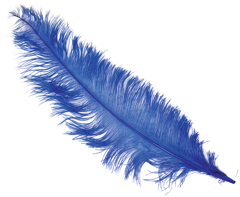 BAG 12 OSTRICH FEATHER GIANT 50 CMS.