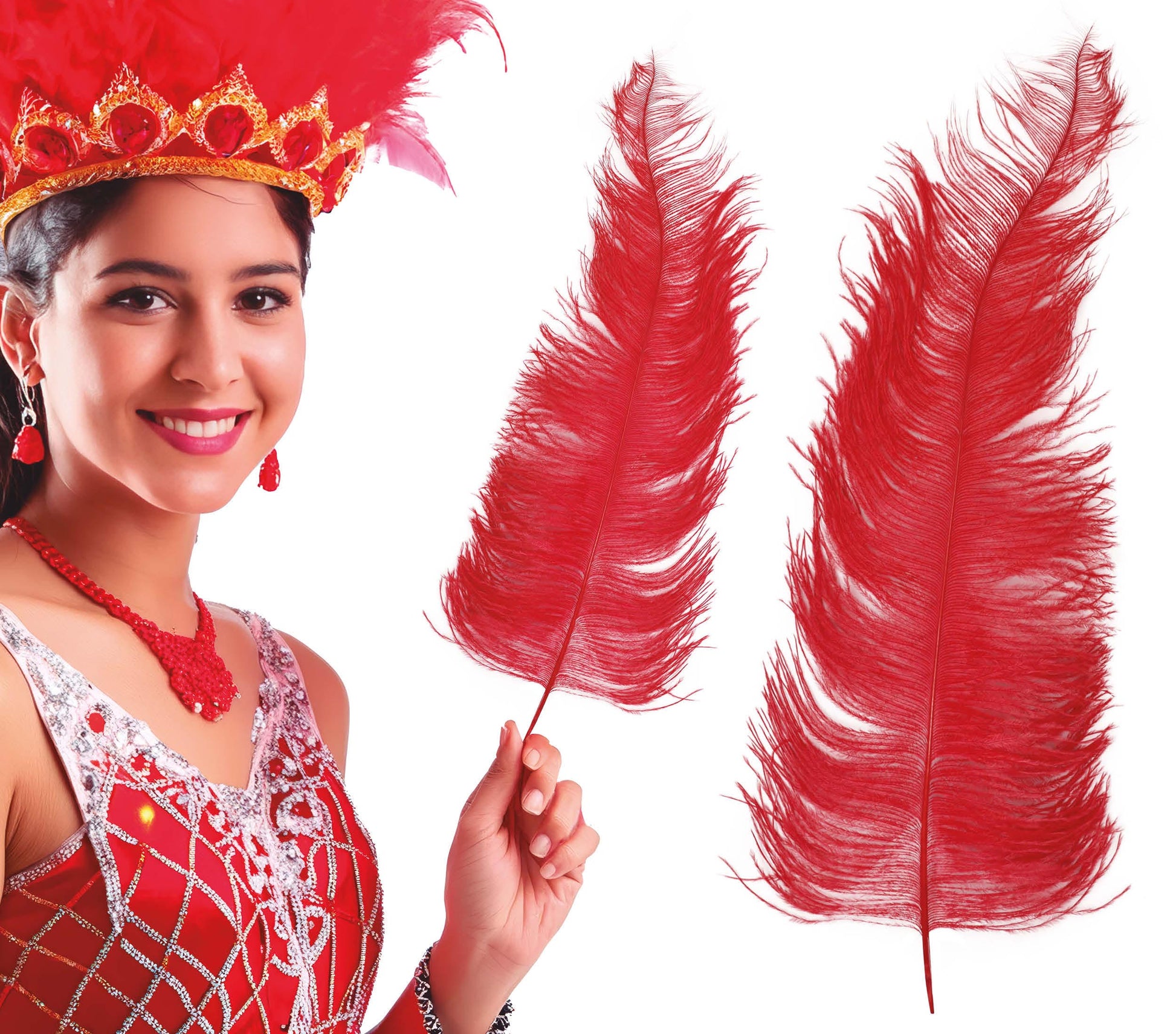 BAG 12 OSTRICH FEATHER GIANT 50 CMS.