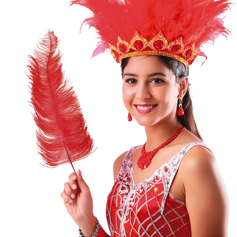BAG 12 OSTRICH FEATHER GIANT 50 CMS.