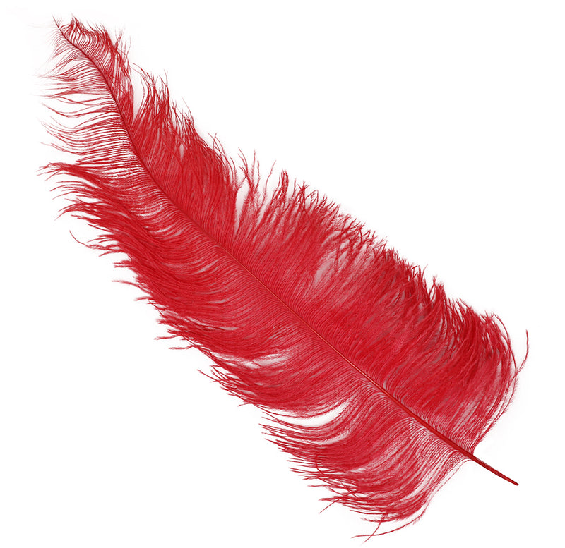BAG 12 OSTRICH FEATHER GIANT 50 CMS.