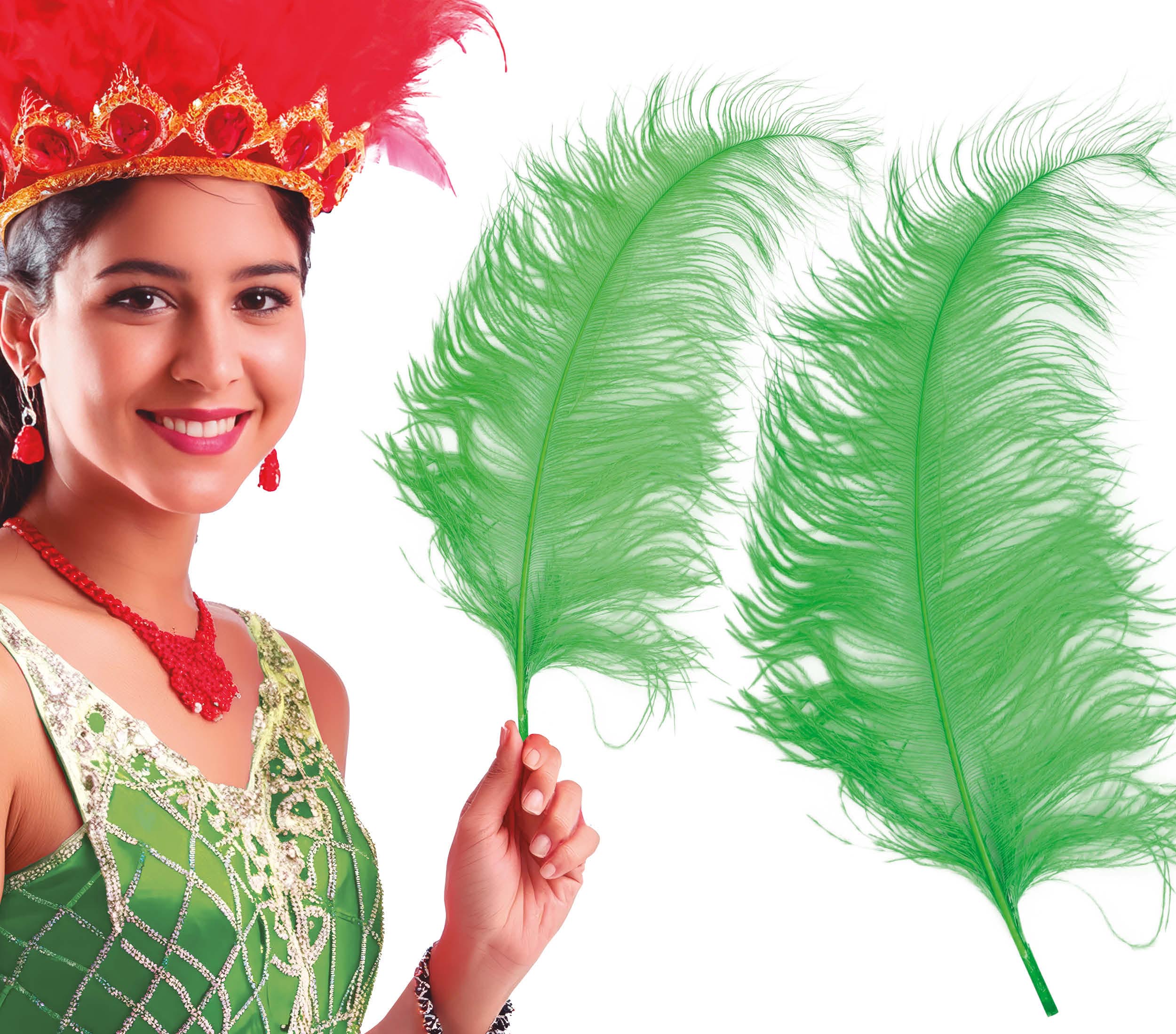 BAG 12 OSTRICH FEATHER GIANT 50 CMS.