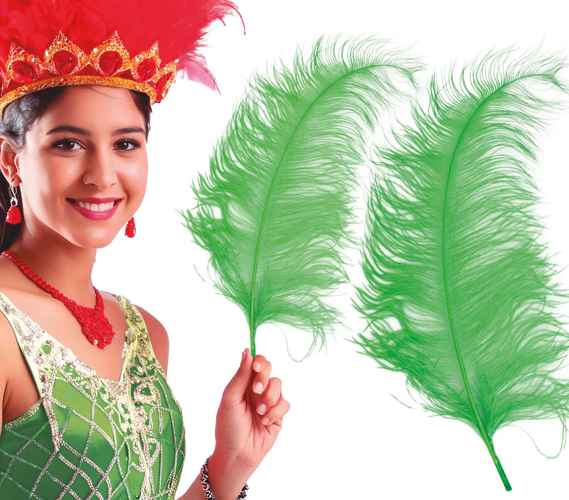 BAG 12 OSTRICH FEATHER GIANT 50 CMS.