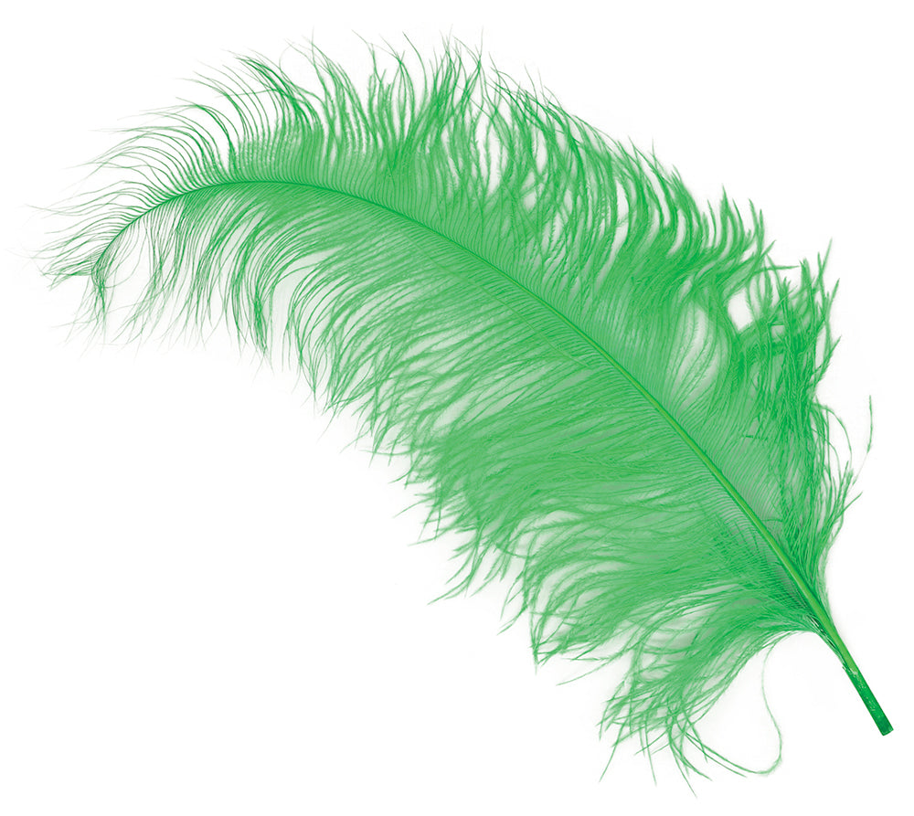 BAG 12 OSTRICH FEATHER GIANT 50 CMS.