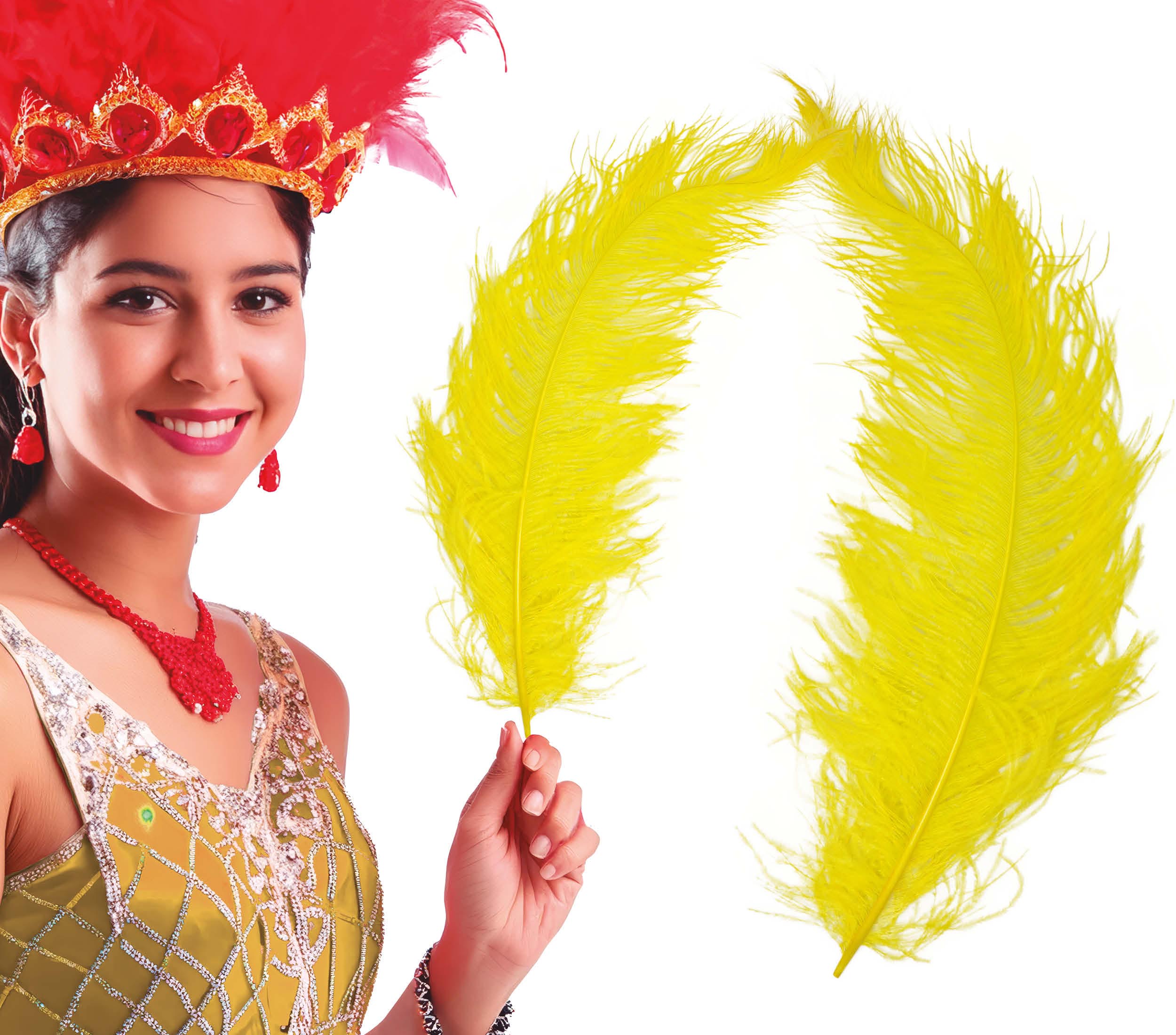 BAG 12 OSTRICH FEATHER GIANT 50 CMS.