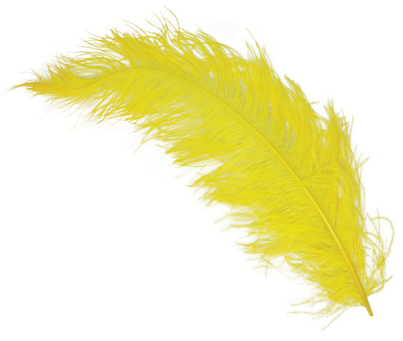 BAG 12 OSTRICH FEATHER GIANT 50 CMS.
