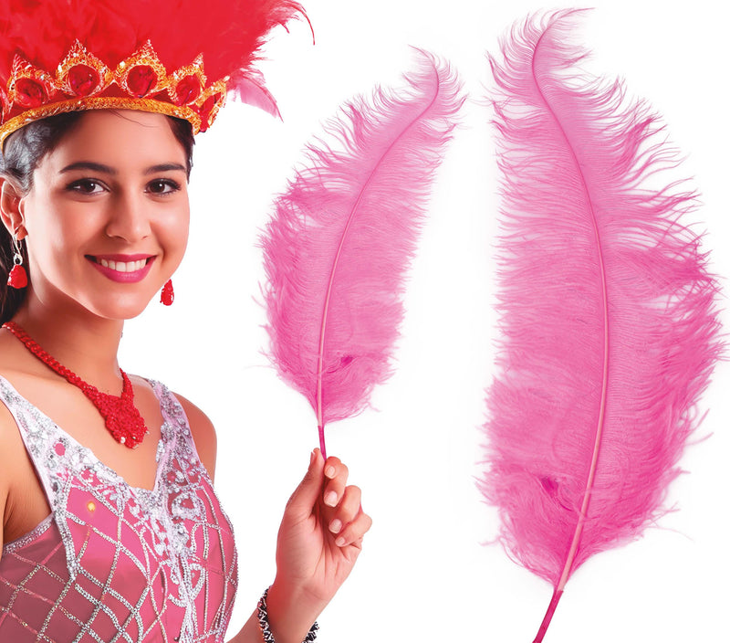 BAG 12 OSTRICH FEATHER GIANT 50 CMS.