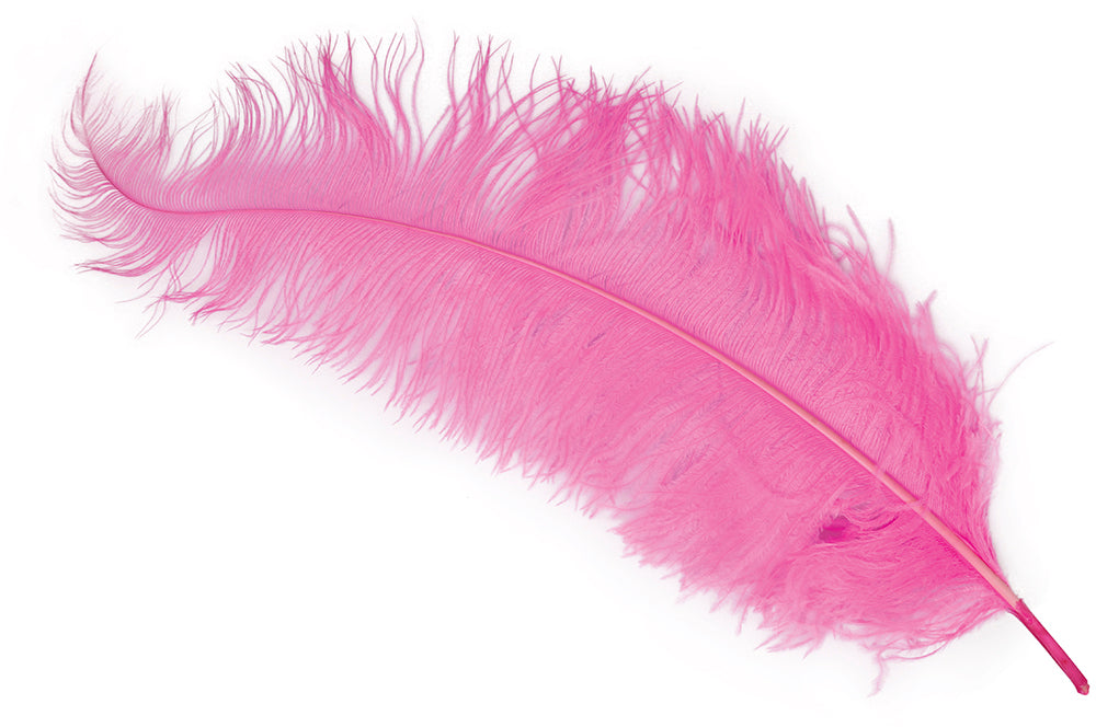 BAG 12 OSTRICH FEATHER GIANT 50 CMS.