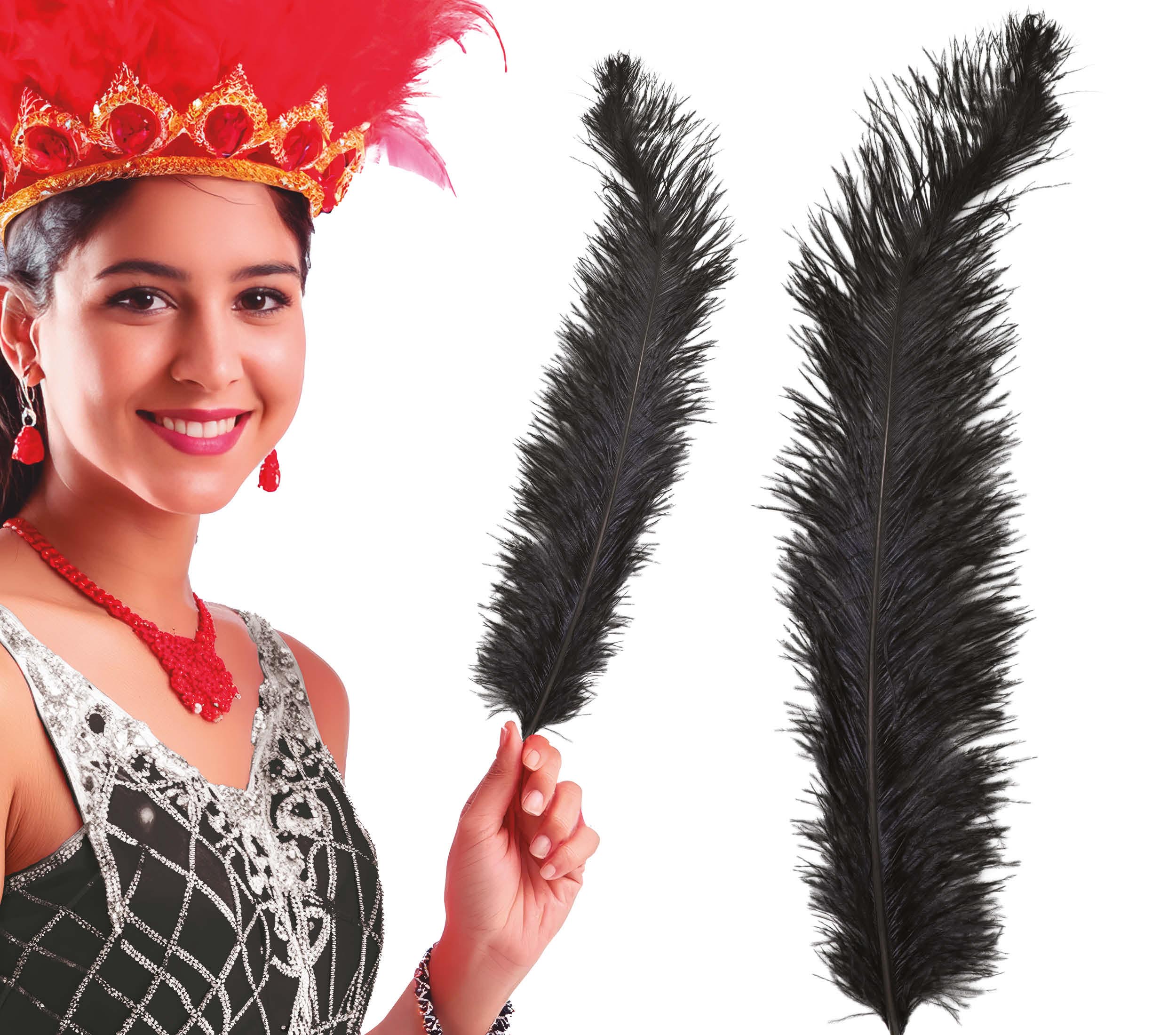 BAG 12 OSTRICH FEATHER GIANT 50 CMS.